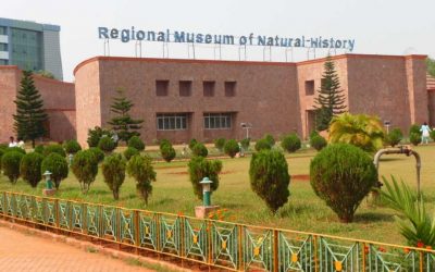 Regional Museum of National History