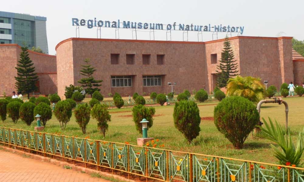 Regional Museum of National History