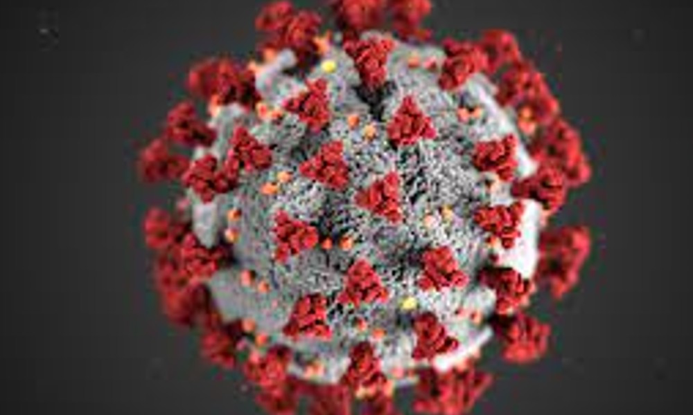 Coronavirus cases in India: ದೇಶದಲ್ಲಿ 30,256 ಹೊಸ ಕೊವಿಡ್ ಪ್ರಕರಣ ಪತ್ತೆ, ಪ್ರಕರಣಗಳ ಸಂಖ್ಯೆಯಲ್ಲಿ ಶೇ 15 ಇಳಿಕೆ