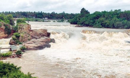 Chunchanakatte Falls Near K.R. Nagar Another Centre Of Attraction