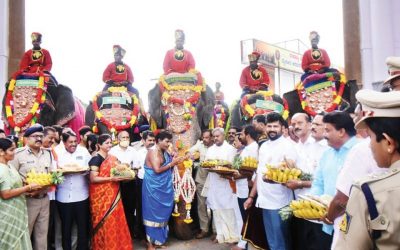 Dasara Elephants Make Grand Entry Into Palace